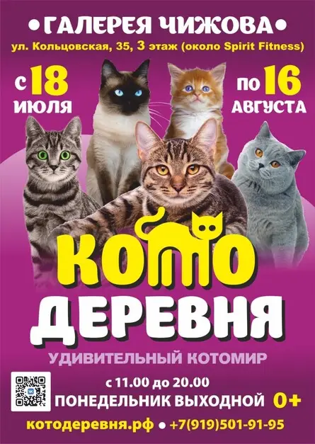 Котодеревня | Воронеж (Галерея Чижова), 18 июля